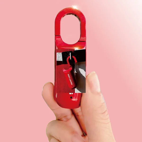 Intelligent Fingerprint Lock Electric Fingerprint Lock for Home Door Lock