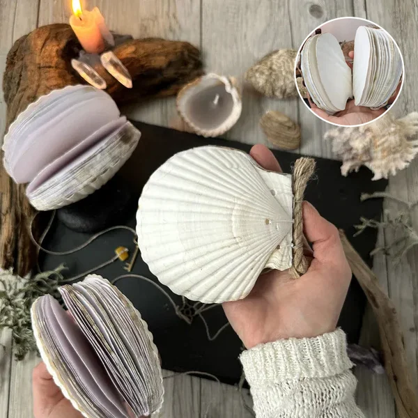 Abalone Shell/Lion’s Paw Shell/Scallop Shell Journal-Festivesl