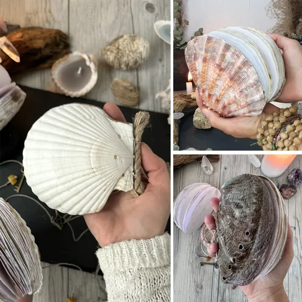 Abalone Shell/Lion’s Paw Shell/Scallop Shell Journal-Festivesl