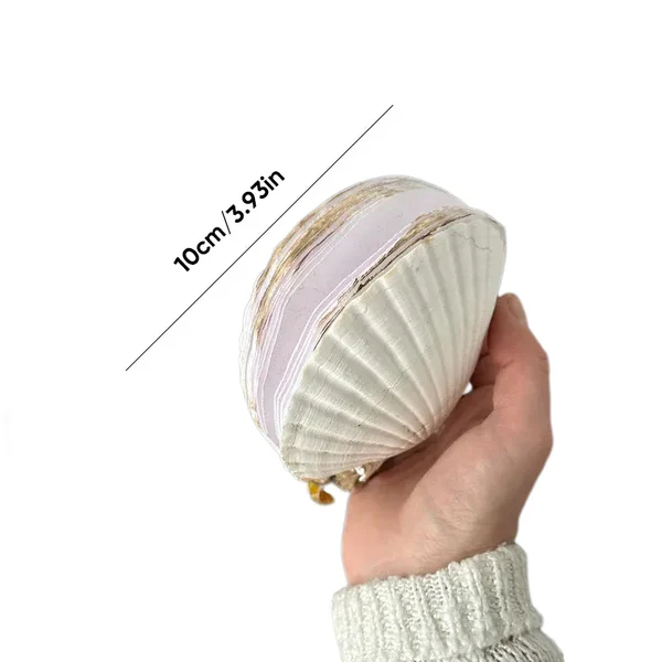 Abalone Shell/Lion’s Paw Shell/Scallop Shell Journal-Festivesl