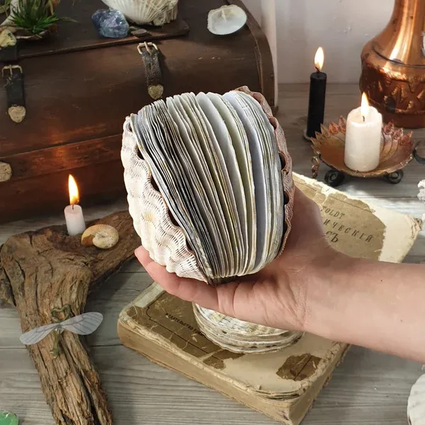 Abalone Shell/Lion’s Paw Shell/Scallop Shell Journal-Festivesl