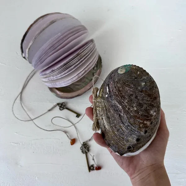Abalone Shell/Lion’s Paw Shell/Scallop Shell Journal-Festivesl