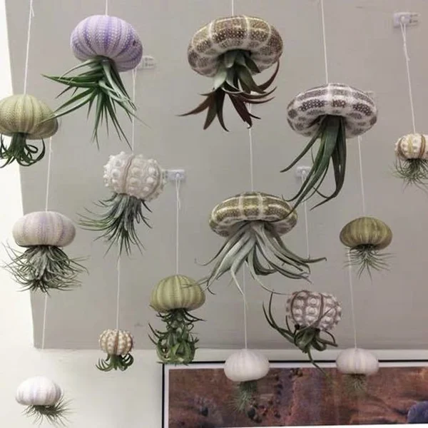 💖Mother's Day Hot Sale🔥Hanging Air Plant Jellyfish🌱-Festivesl