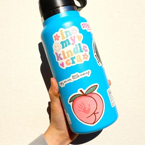 LAST DAY 49% OFF--120 PCS Book Stickers for Kindle-Festivesl