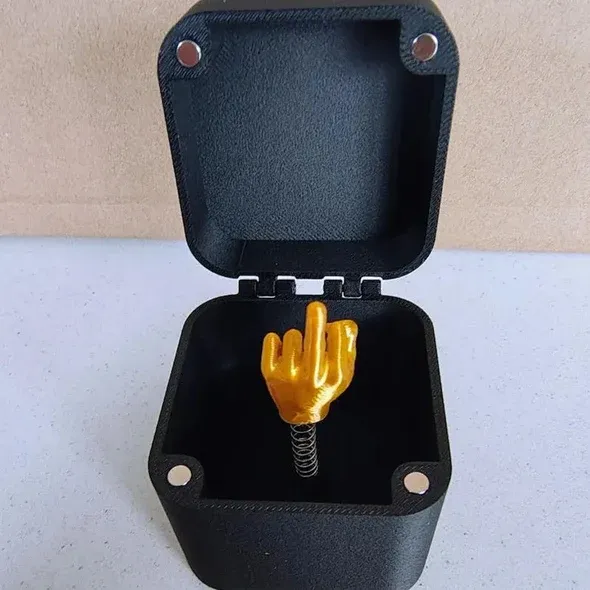 The perfect gift 🎁- the middle finger in the box