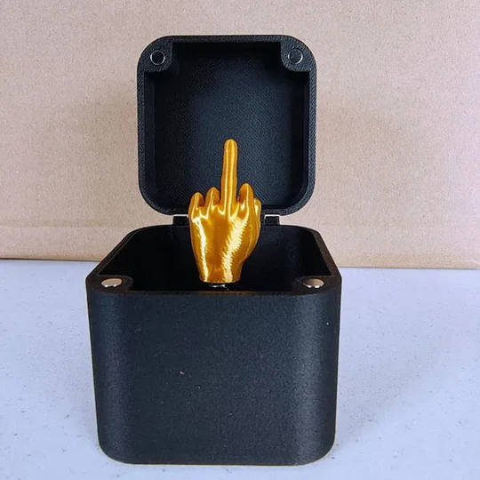 The perfect gift 🎁- the middle finger in the box