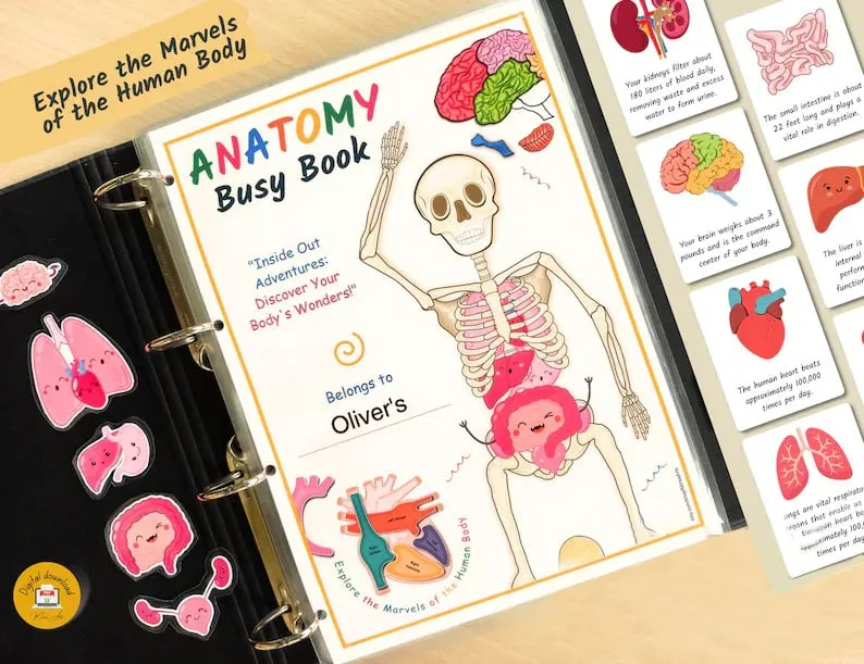 📚️🫁Human Anatomy Busy Book🎅Best Christmas Gift for kids