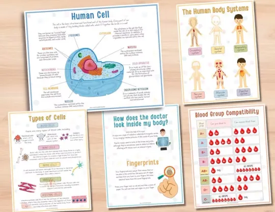 📚️🫁Human Anatomy Busy Book🎅Best Christmas Gift for kids