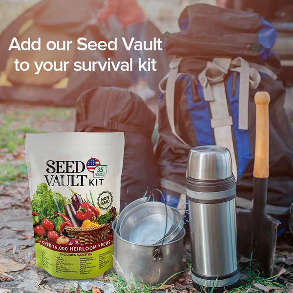 🔥Last 4 hours Sale: Save 50% - Vegetable Seed Vault Kit | 35 Variety Pack