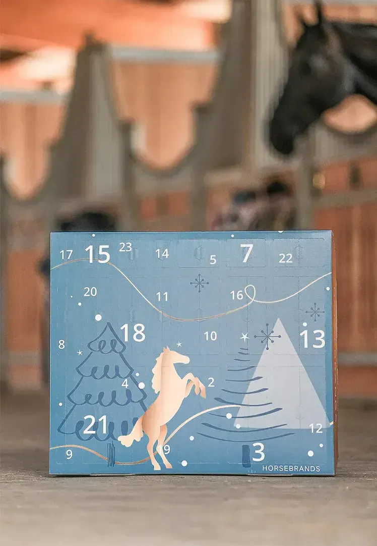 🎅Christmas Early Bird Sale 50% Off🐎Horsebrands Advent Calendar 2024