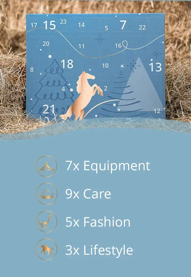 🎅Christmas Early Bird Sale 50% Off🐎Horsebrands Advent Calendar 2024