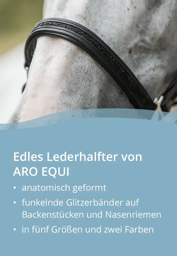 🎅Christmas Early Bird Sale 50% Off🐎Horsebrands Advent Calendar 2024