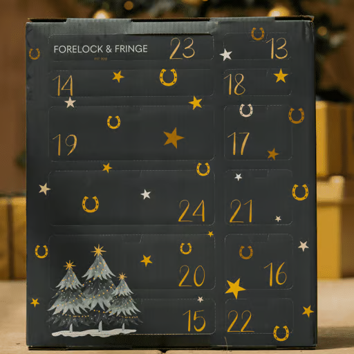 🎅Christmas Early Bird Sale 49% Off🐎Forelock and Fringe Advent Calendar 2024