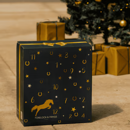 🎅Christmas Early Bird Sale 49% Off🐎Forelock and Fringe Advent Calendar 2024