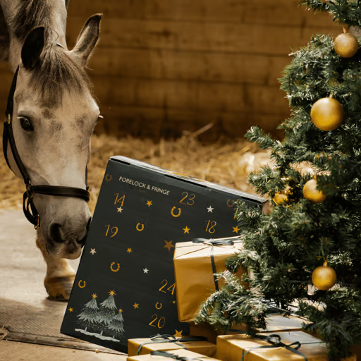 🎅Christmas Early Bird Sale 49% Off🐎Forelock and Fringe Advent Calendar 2024