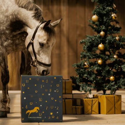 🎅Christmas Early Bird Sale 49% Off🐎Forelock and Fringe Advent Calendar 2024