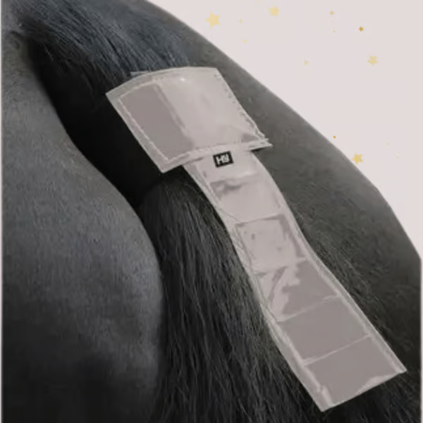 🎅Christmas Early Bird Sale 49% Off🐎Forelock and Fringe Advent Calendar 2024