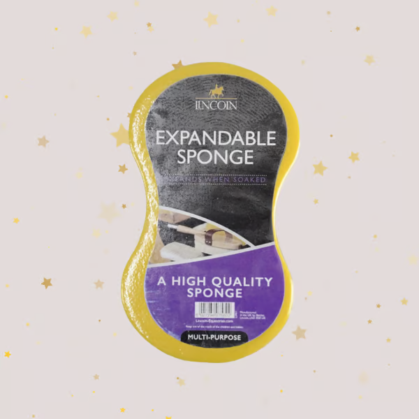 🎅Christmas Early Bird Sale 49% Off🐎Forelock and Fringe Advent Calendar 2024