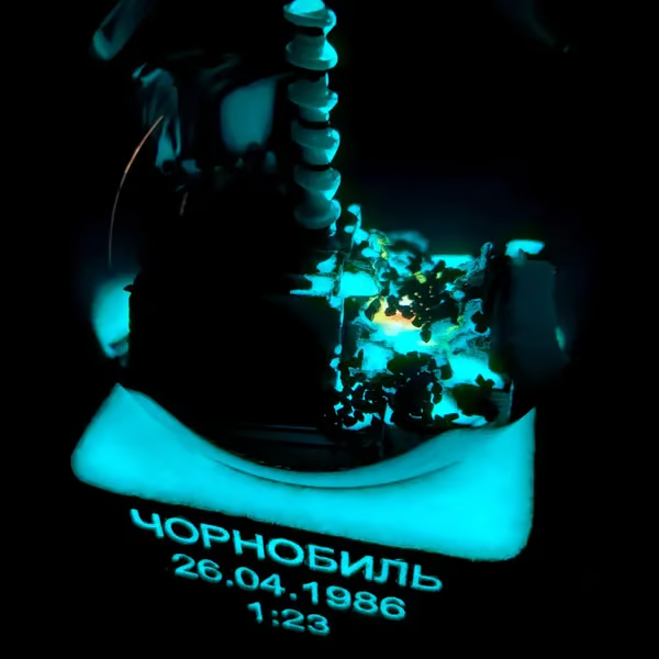 🔥LAST DAY 49% OFF - Chernobyl Snow Globe