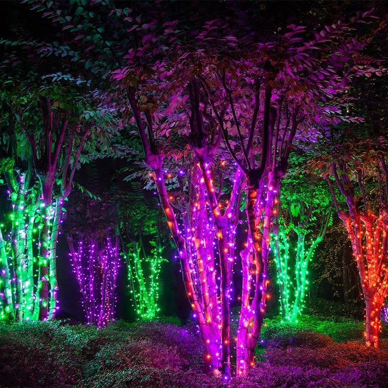 Trees Wrapped with String Lights to Create an Electric Forest on Halloween!