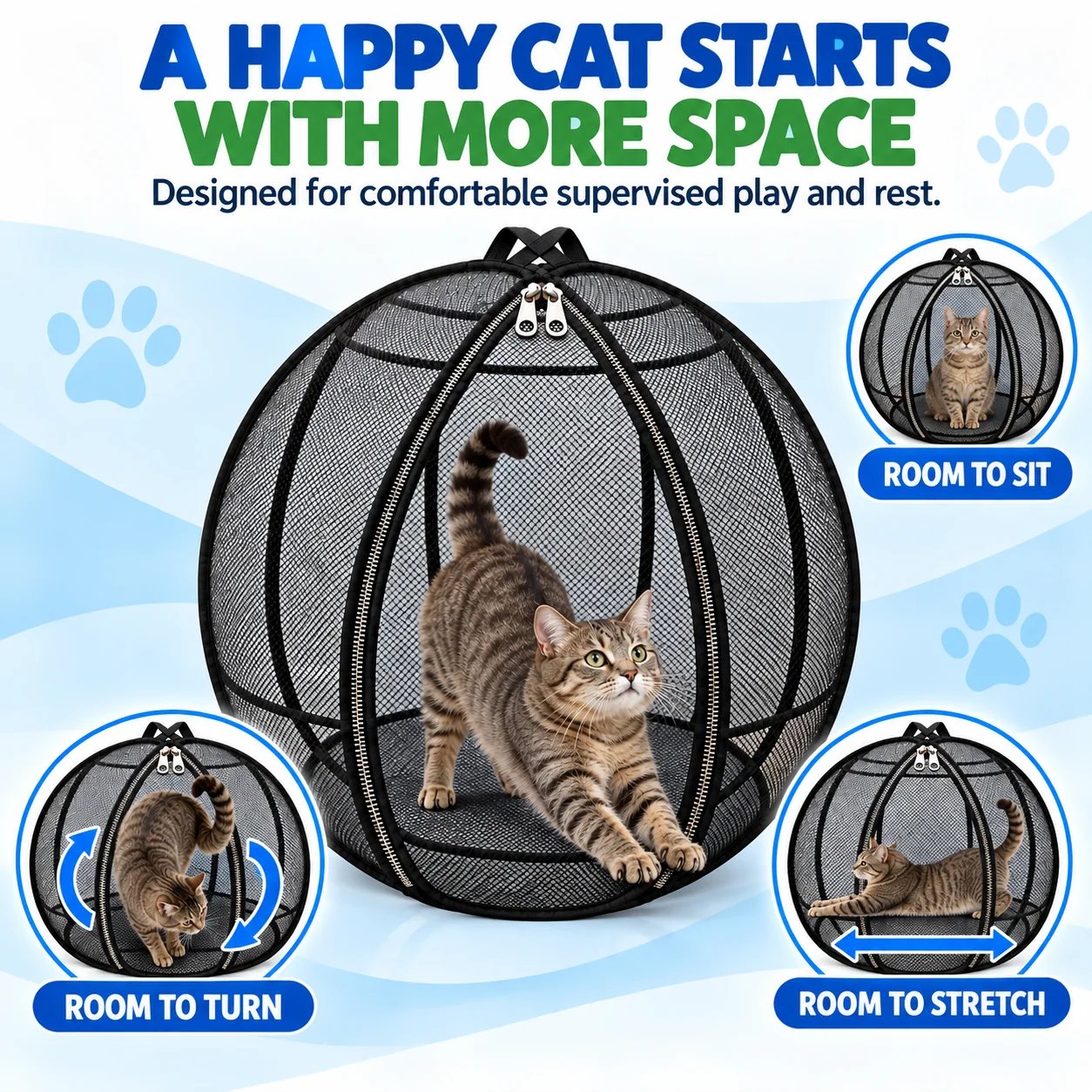 Cat exploring inside the playpen