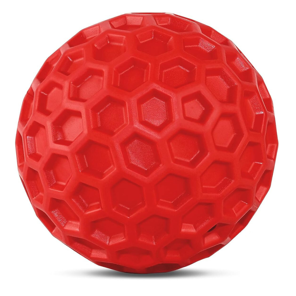 Squeaky Dog Chew Ball