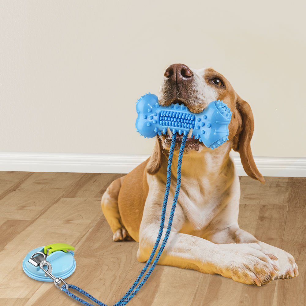 Suction Cup Dog Tug Toy - Bone Shaped