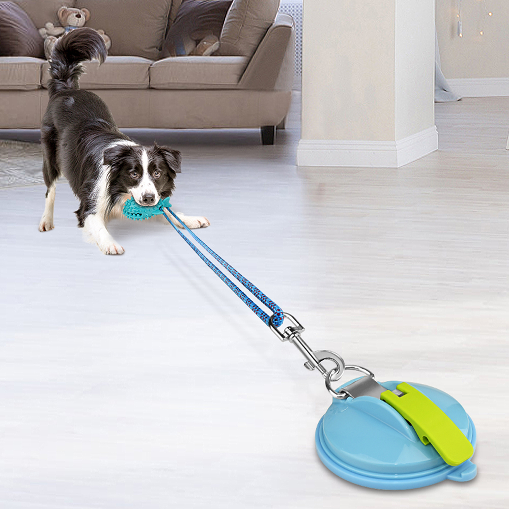 Suction Cup Dog Tug Toy Fish Shaped