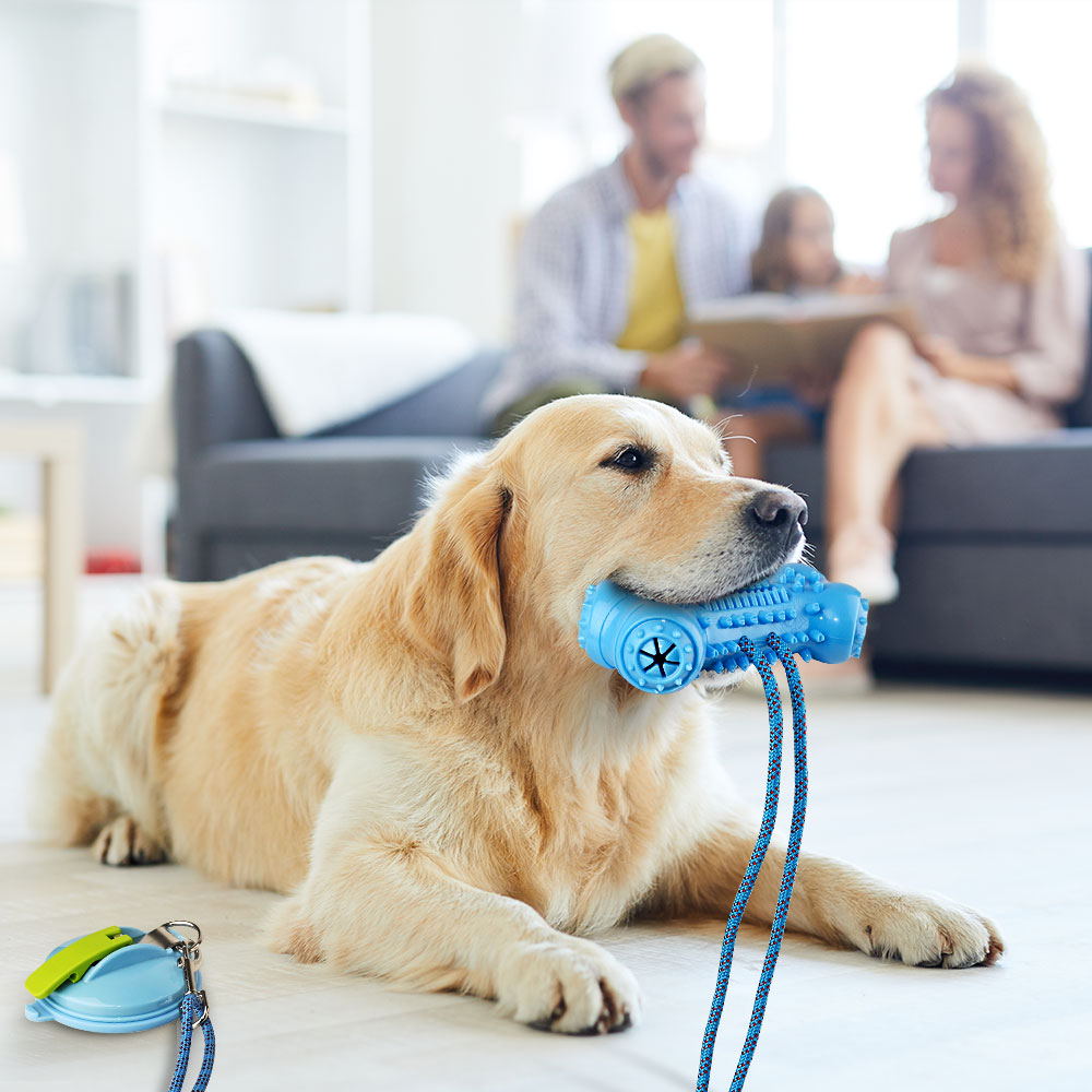 Suction Cup Dog Tug Toy - Bone Shaped