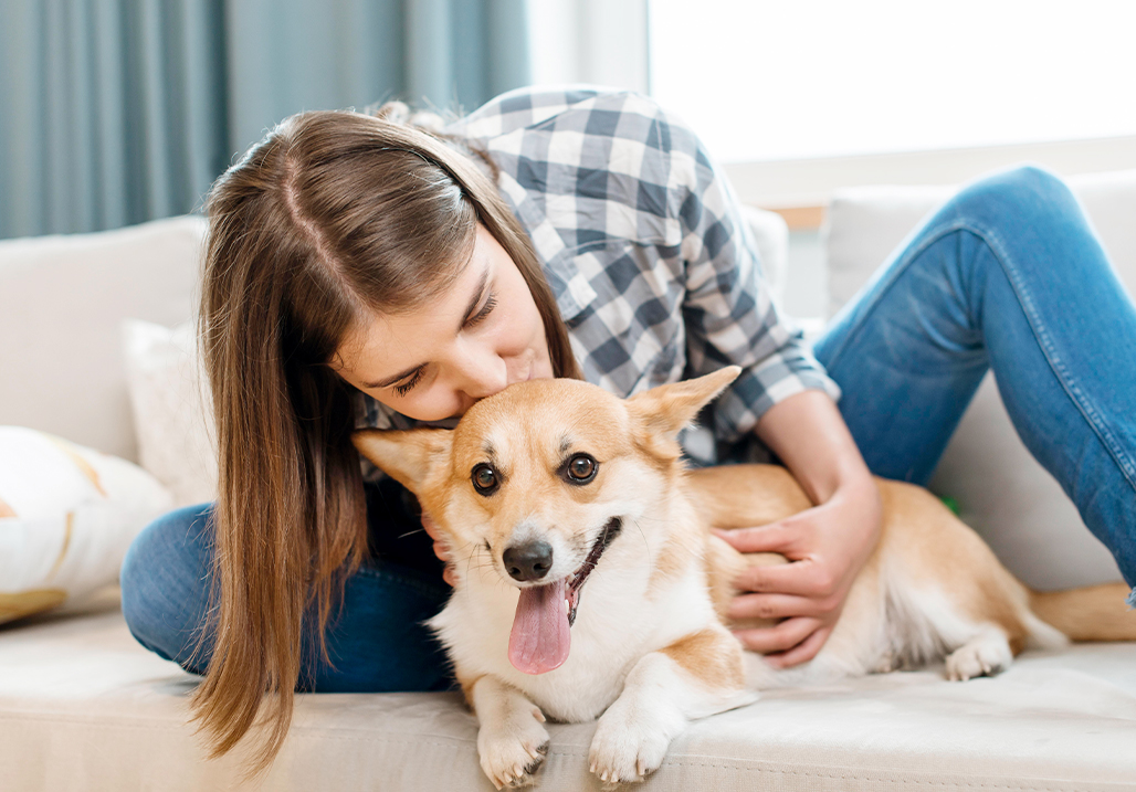 Preparing for Flea and Tick Season How to Handle Fleas on Dogs