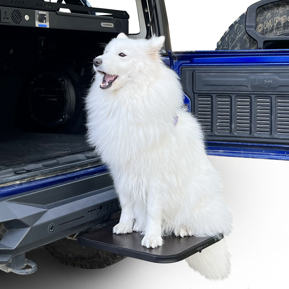 Dog Steps for Car
