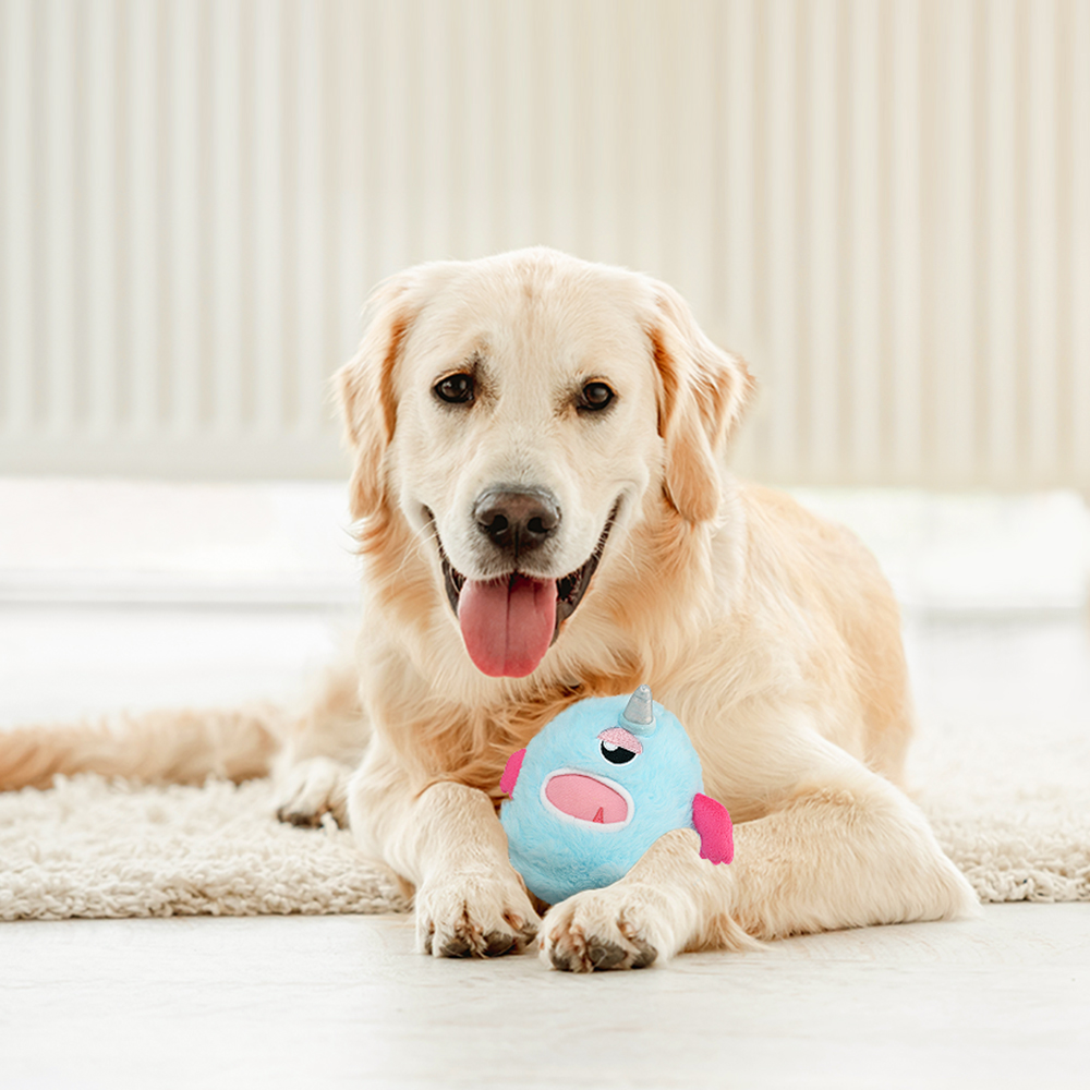 Interactive Dog Toys - The Mystic Unicorn Bobby