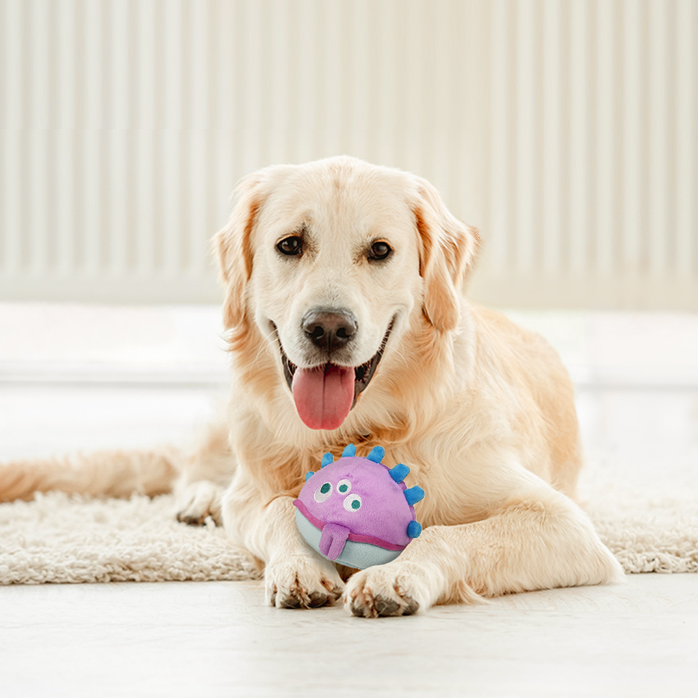 Interactive Dog Toys - The Jolly Jelly Bobby