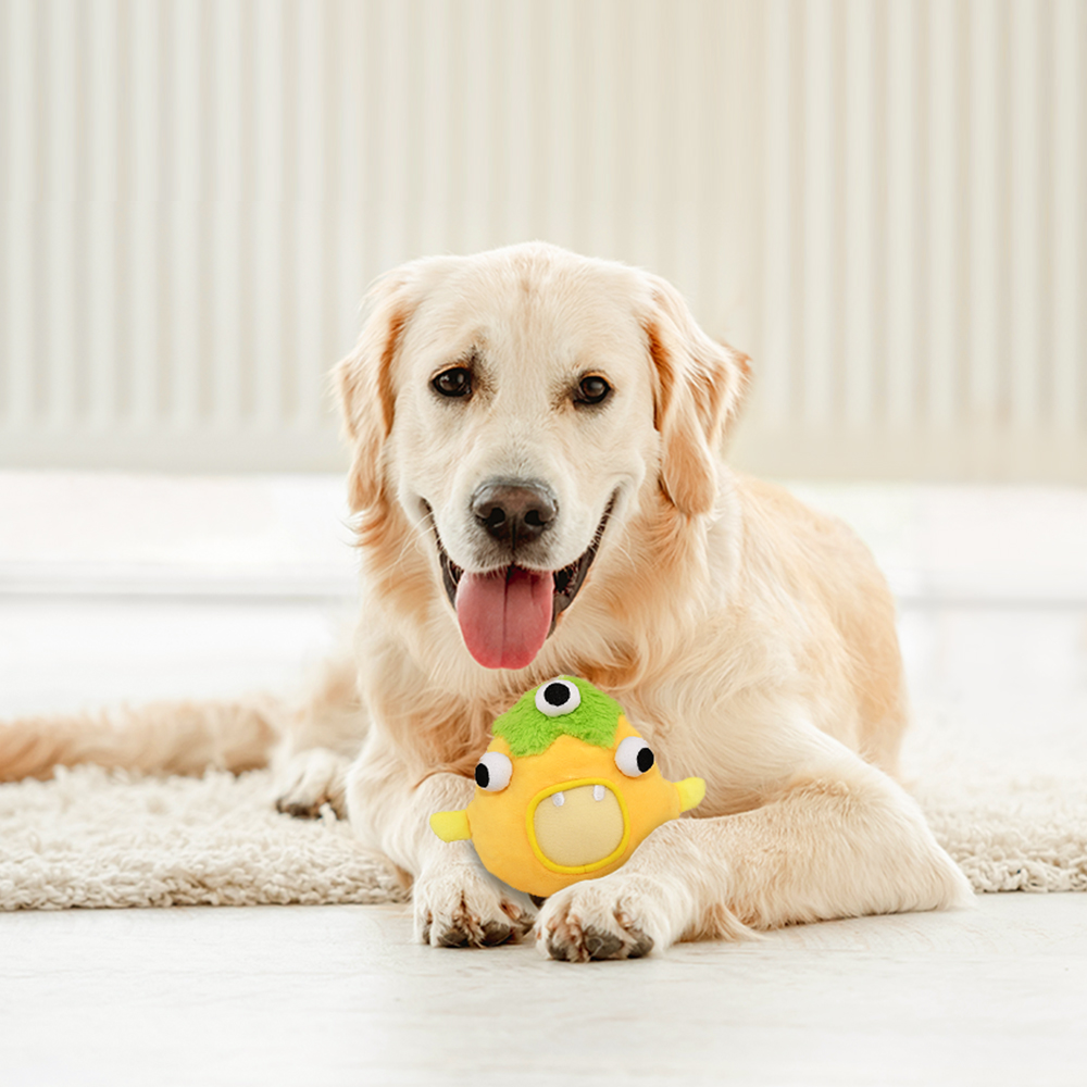 Interactive Dog Toys - The Sunny Boy Bobby