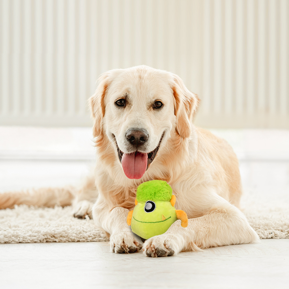 Interactive Dog Toys - The Veggie Scout Bobby