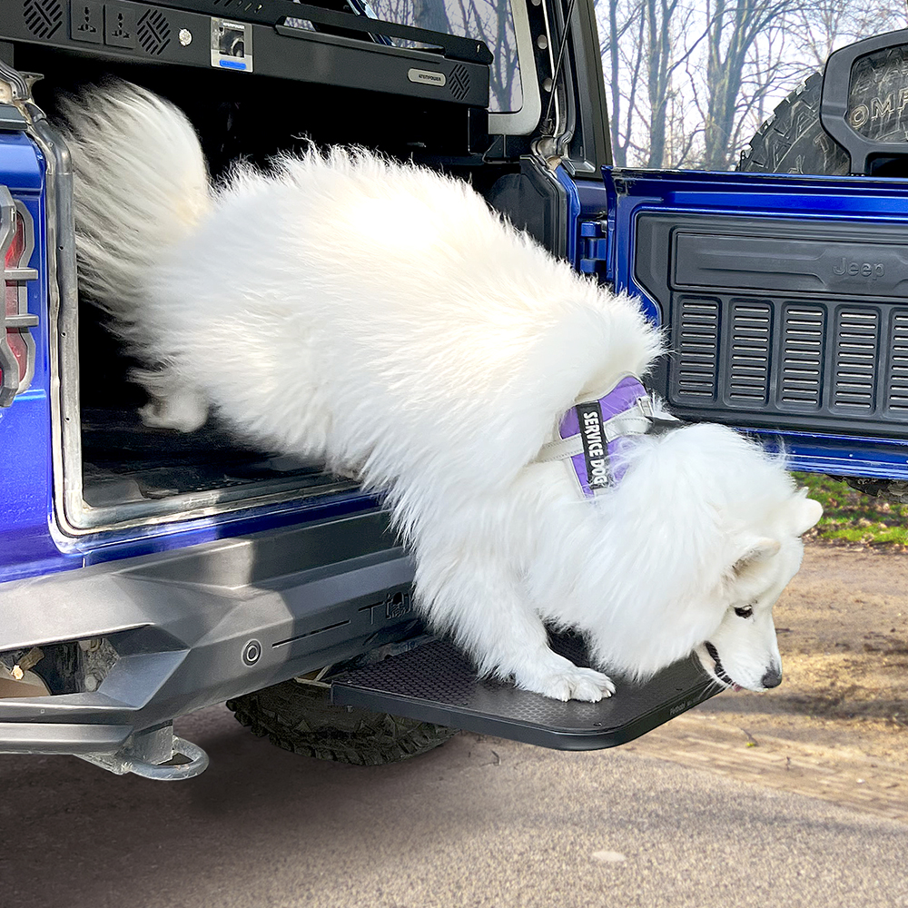 Dog Steps for Car
