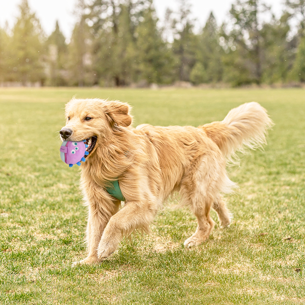 Interactive Dog Toys - The Jolly Jelly Bobby