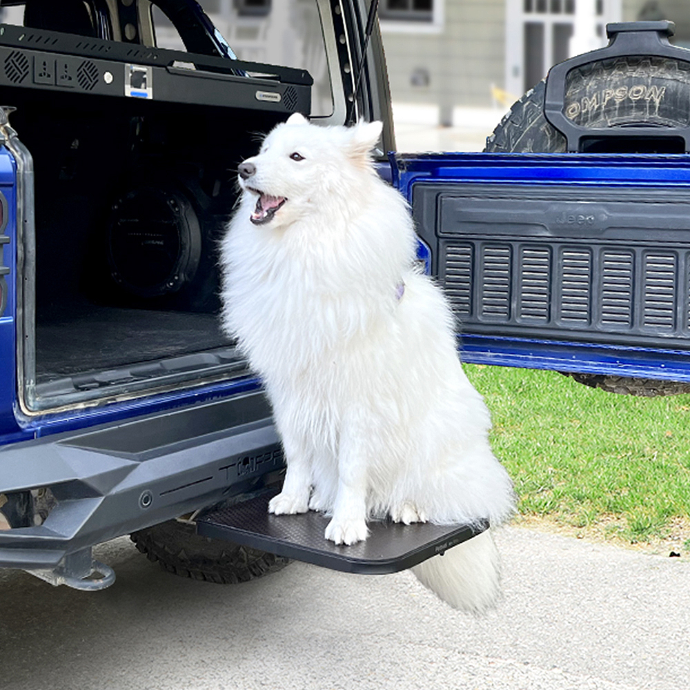 Dog Steps for Car