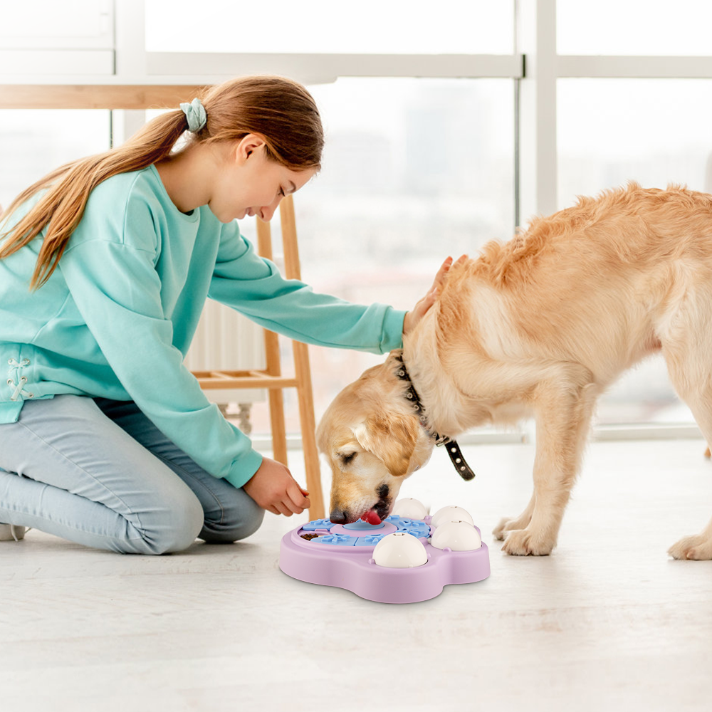 Level 2 Pet Puzzle Feeder
