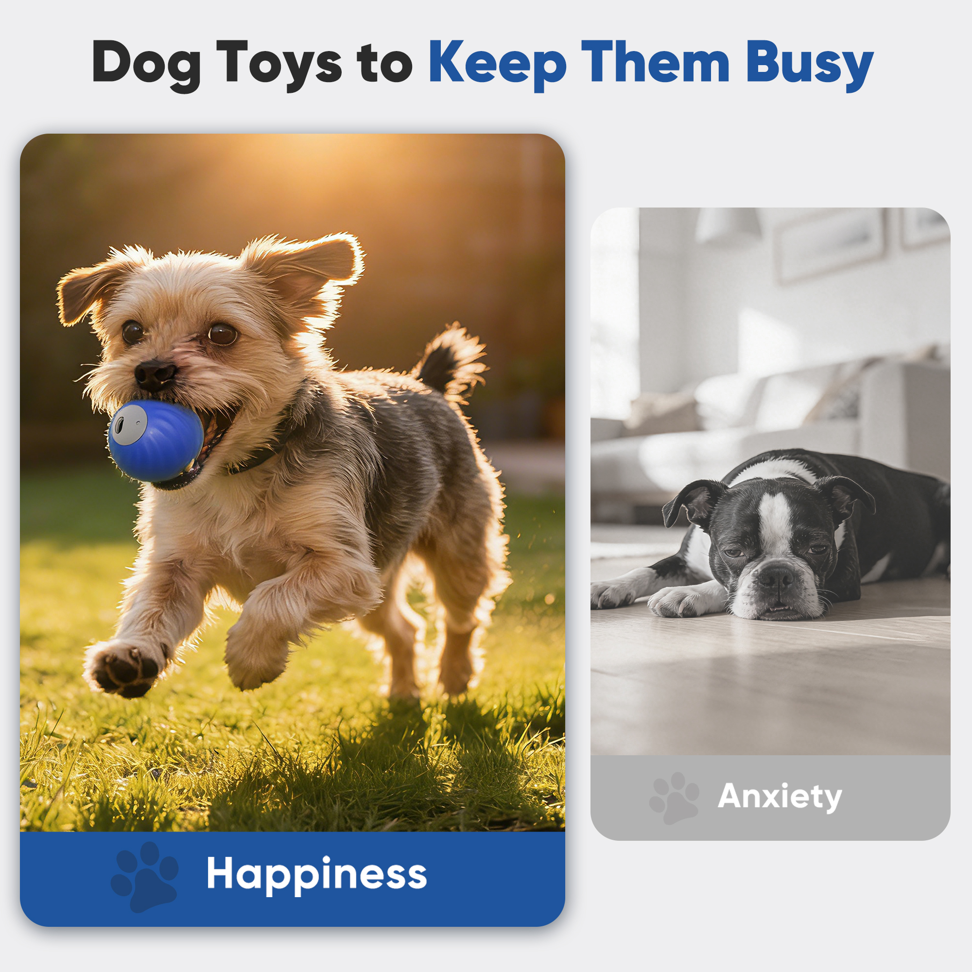 "Petbobi Interactive Dog Ball, USB Rechargeable Moving Dog Toy for Treat Dispensing, 2.87"" Blue Washable TPU Puzzle Ball, Interactive Dog Toys for Small & Medium Dogs, Boredom & Anxiety Relief  "