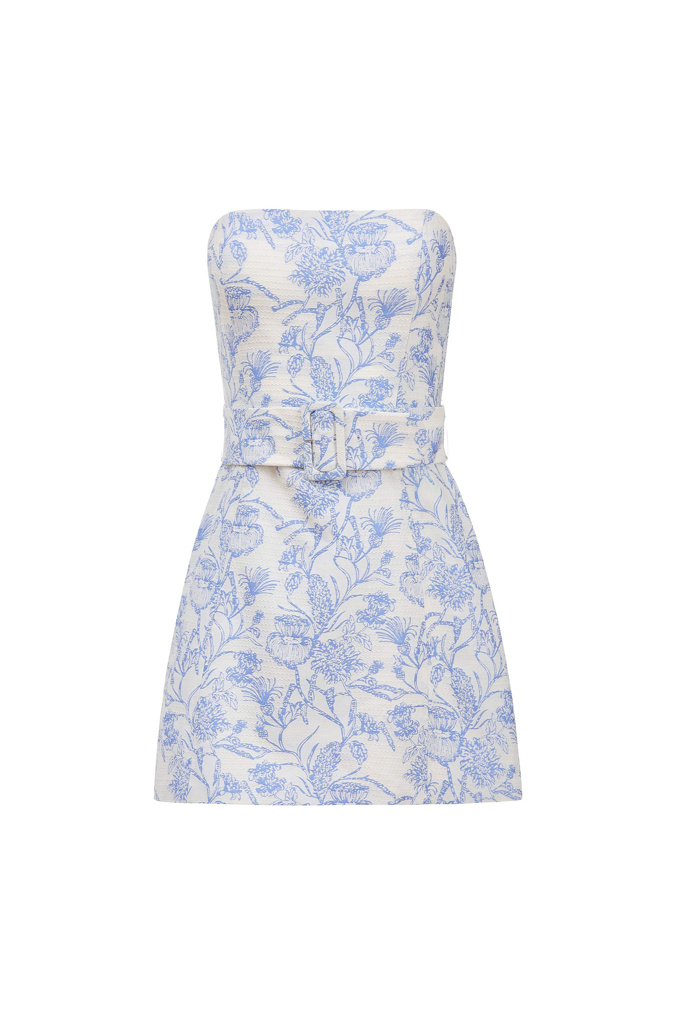 Fae Dress in Toile Brocade