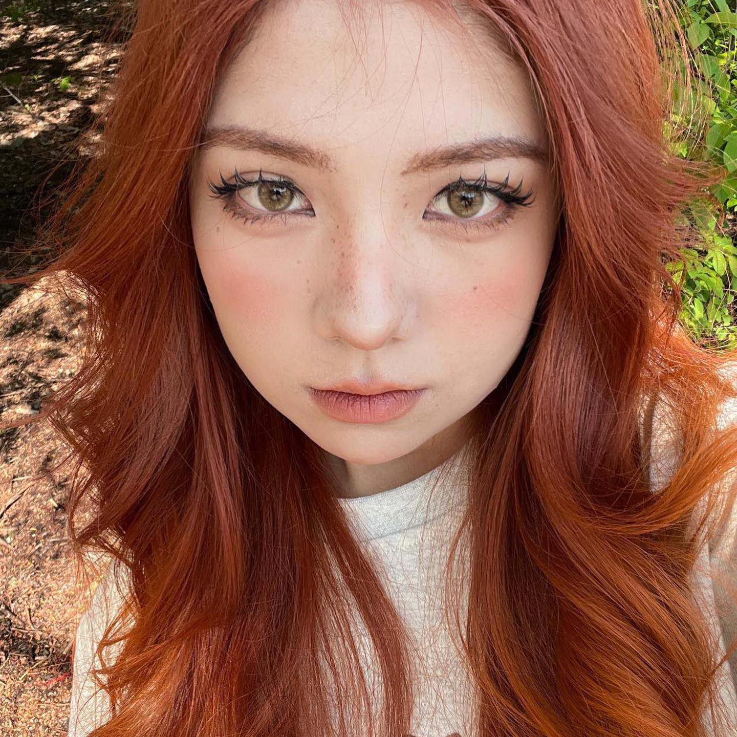 Coleyes Velvet Brown Pro Yearly Prescription Colored Contacts - image 5