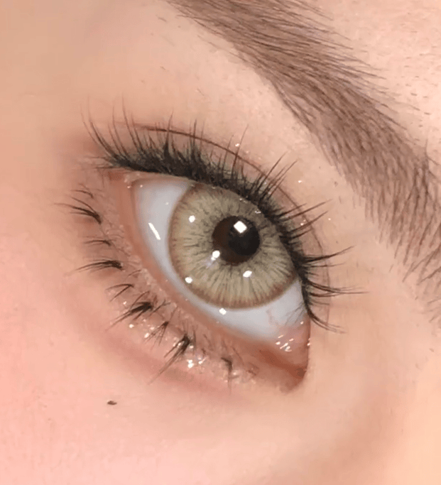 Coleyes Vine Brown Prescription Yearly Colored Contacts - image 4