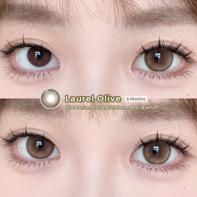 Coleyes Laurel Olive 6-Month Colored Contacts - image 6
