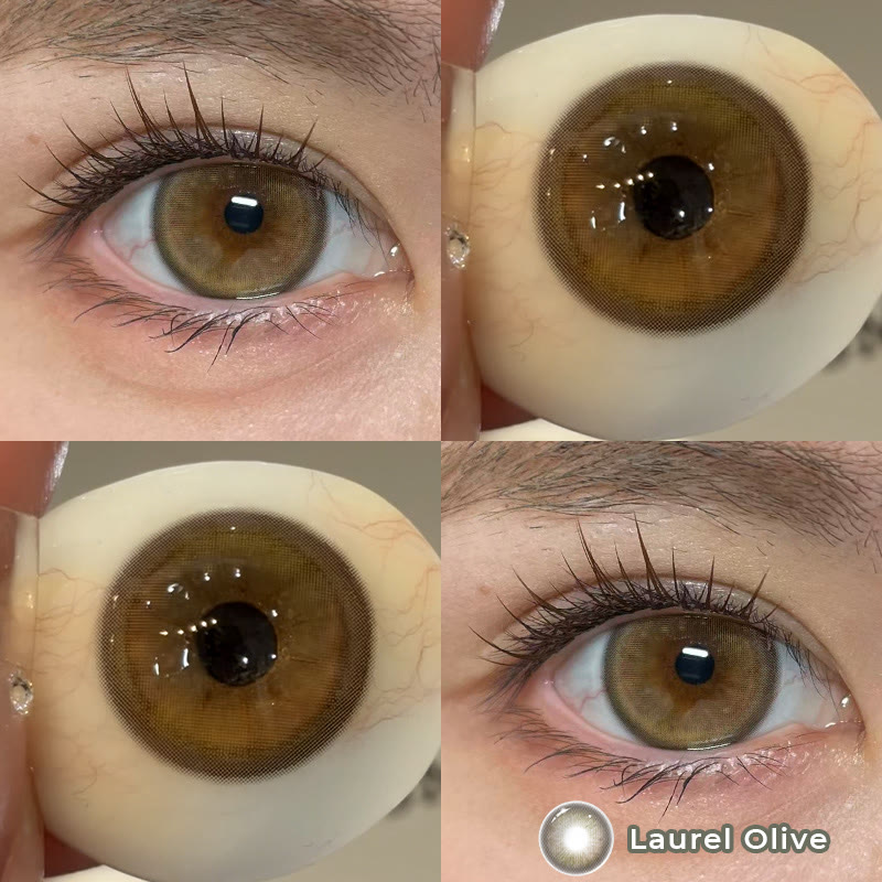 Coleyes Laurel Olive 6-Month Colored Contacts - image 5