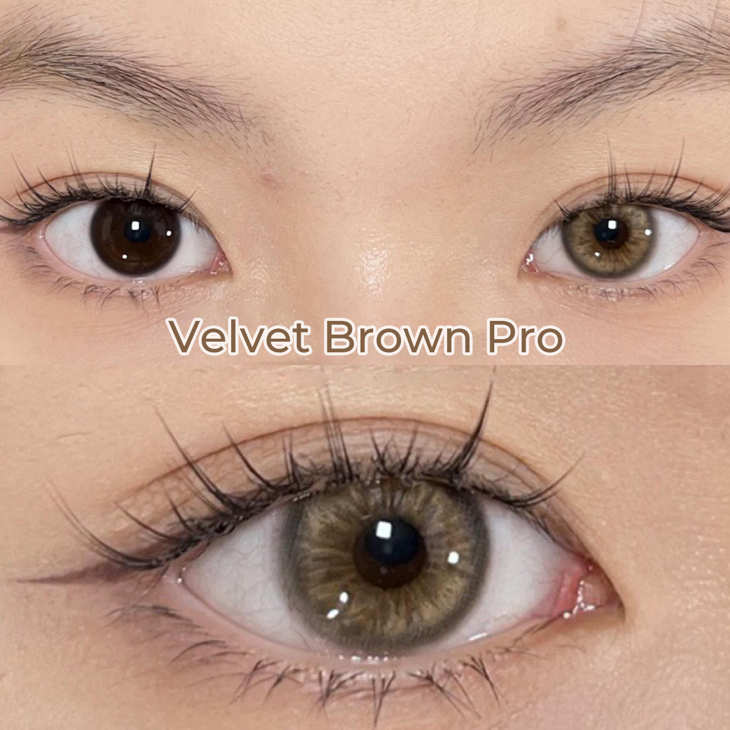 Coleyes Velvet Brown Pro Yearly Prescription Colored Contacts - image 4