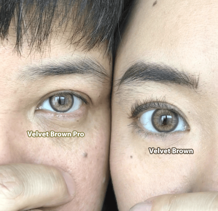 Coleyes Velvet Brown Yearly Prescription  Colored Contacts - image 4