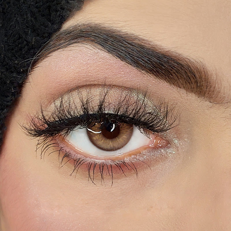 Coleyes Frost Brown Yearly Colored Contacts - image 6