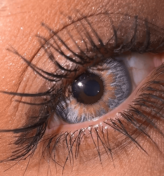 Coleyes Wildness Wolf Grey Yearly Colored Contacts - image 4