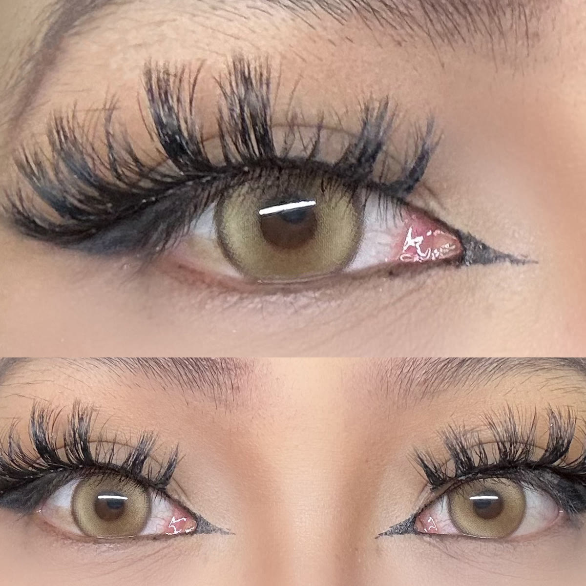 Coleyes Cocoa Brown Yearly Colored Contacts - image 5